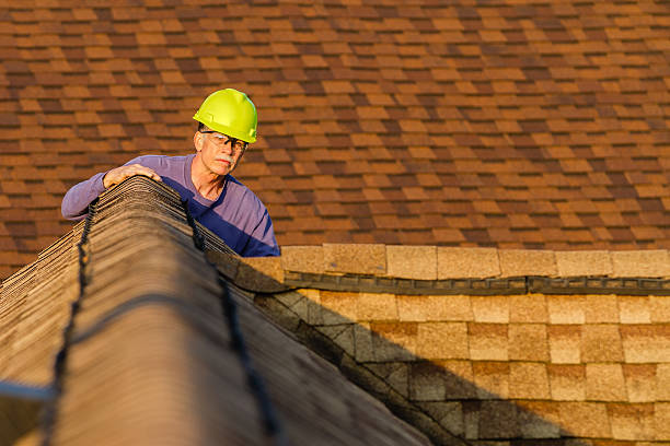 Best Storm Damage Roof Repair  in Jackson, TN